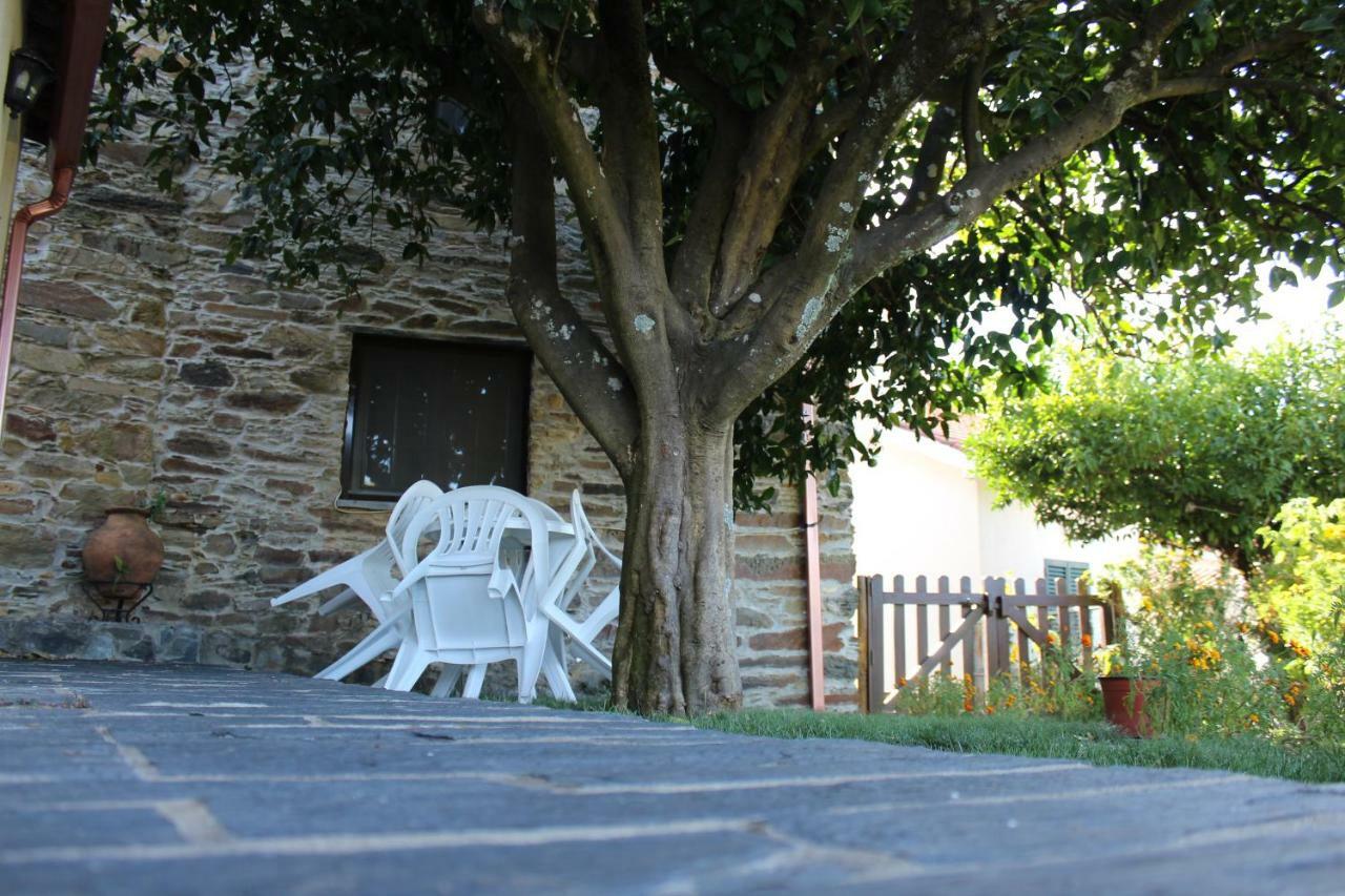 Casas De Pedra Hotel Proenca-a-Nova Bagian luar foto